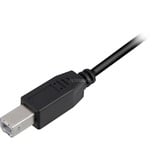 Sharkoon USB 2.0 Kabel, USB-A Stecker > USB-B Stecker schwarz, 5,0 Meter