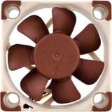 Noctua NF-A4x10 FLX, Gehäuselüfter braun/weiß, 40 mm