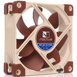 Noctua NF-A8 5V PWM, Gehäuselüfter 80 mm