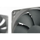 Noctua NF-P12 redux-1700 PWM, Gehäuselüfter 120 mm