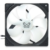 Scythe Kaze Flex 140 Square RGB PWM 140x140x27, Gehäuselüfter schwarz/transparent, 1200 U/min