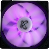 Scythe Kaze Flex RGB 1200 120x120x27, Gehäuselüfter 120 mm