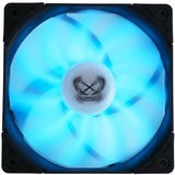 Scythe Kaze Flex RGB 1200 120x120x27, Gehäuselüfter 120 mm