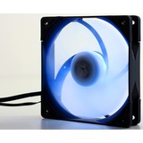 Scythe Kaze Flex RGB 1200 120x120x27, Gehäuselüfter 120 mm