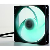 Scythe Kaze Flex RGB 1200 120x120x27, Gehäuselüfter 120 mm
