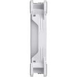 Thermaltake Riing Quad 12 RGB Radiator Fan TT Premium Edition 3 Pack, Gehäuselüfter weiß, 3er Set, 1x Controller, 120 mm