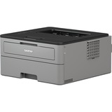 Brother HL-L2310D, Laserdrucker grau/schwarz, USB