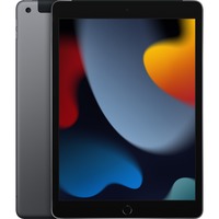 Apple iPad 10,2" (256 GB), Tablet-PC grau, LTE, Gen 9 / 2021