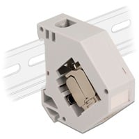 DeLOCK Hutschienenadapter mit Keystone-Modul RJ-45 > Cat.6a LSA grau