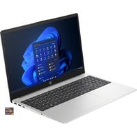 HP 255 G10 (816F8EA), Notebook silber, AMD Ryzen 5 7530U, AMD Radeon Graphics, 8 GB DDR4, 256 GB (256 GB SSD), Windows 11 Pro 64-Bit