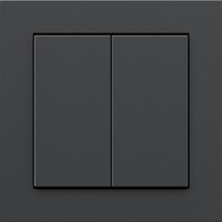 Friends of Hue Smart Switch, Taster