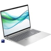 HP ProBook 460 G11 (9C0C7EA), Notebook silber, Intel® Core™ Ultra 7 155U, Intel® Graphics, 32 GB DDR5, 1 TB (1 TB SSD), Windows 11 Pro 64-Bit