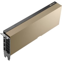 NVIDIA RTX PRO 6000 Blackwell Server Edition, Grafikkarte 
