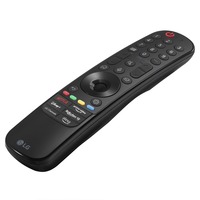 Magic Remote Fernbedienung MR24GN