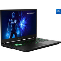 Medion ERAZER Deputy 15 P1 (MD62761), Gaming-Notebook schwarz, Intel® Core™ 7 250H, NVIDIA GeForce RTX 5060, 16 GB DDR5, 1 TB (1 TB SSD), ohne Betriebssystem