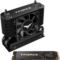 Team Group T-Force GA PRO 2 TB, SSD schwarz, PCIe 5.0 x4 | M.2 2280 | T-FORCE DARK AirFlow-Kühlkörper