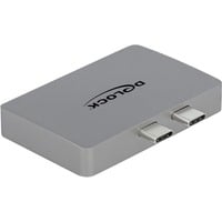 DeLOCK Thunderbolt Adapter, 2x USB-C Stecker > 2x DisplayPort Buchse grau, für MacBook, PD 3.0, Laden mit bis zu 100 Watt