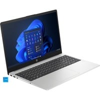 HP 250 G10 (9G844ES), Notebook silber, Windows 11 Home 64-Bit, 39.6 cm (15.6 Zoll), 512 GB SSD