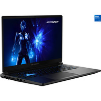 Medion ERAZER Defender 17 P1 (MD62754), Gaming-Notebook schwarz, Intel® Core™ 9 270H, NVIDIA GeForce RTX 5070, 32 GB DDR5, 2 TB (2 TB SSD), Windows 11 Home