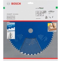 Bosch Professional EXPERT Wood Kreissägeblatt, Ø 250mm, 40Z Bohrung 30mm, für Kapp- & Gehrungssägen