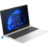 HP 250 G10 (B39NWAT), Notebook silber, Intel® Core™ i5-1334U, Intel® Iris® Xe Graphics, 16 GB DDR4, 512 GB (512 GB SSD), Windows 11 Home 64-Bit