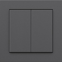 Friends of Hue Smart Switch, Taster