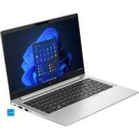 HP EliteBook 630 G10 (817N5EA), Notebook silber, Windows 11 Pro 64-Bit, 33.8 cm (13.3 Zoll), 256 GB SSD