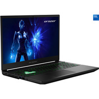 Medion ERAZER Deputy 15 P1 (MD62764), Gaming-Notebook schwarz, Intel® Core™ 5 210H, NVIDIA GeForce RTX 5060, 16 GB DDR5, 1 TB (1 TB SSD), ohne Betriebssystem