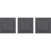 Friends of Hue Smart Switch, Taster