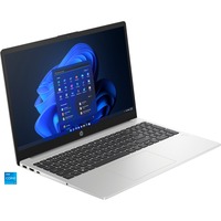 HP 250 G10 (9V1L5AT), Notebook silber, Intel® Core™ i5-1335U, Intel® Iris® Xe Graphics, 16 GB DDR4, 512 GB (512 GB SSD), Windows 11 Pro 64-Bit
