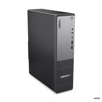 Lenovo ThinkCentre neo 55s Gen 6 (13G0000EGE), PC-System schwarz, Windows 11 Pro