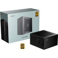 Ocypus Iota P850 Black, PC-Netzteil schwarz, 1x 12-Pin High Power GPU, 3x PCIe, Kabelmanagement, 850 Watt