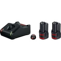 Bosch Professional PRO Starter-Set 12V (2x GBA 12V 3.0Ah + GAL 12V-40 Professional) schwarz, 2x Akku + Ladegerät