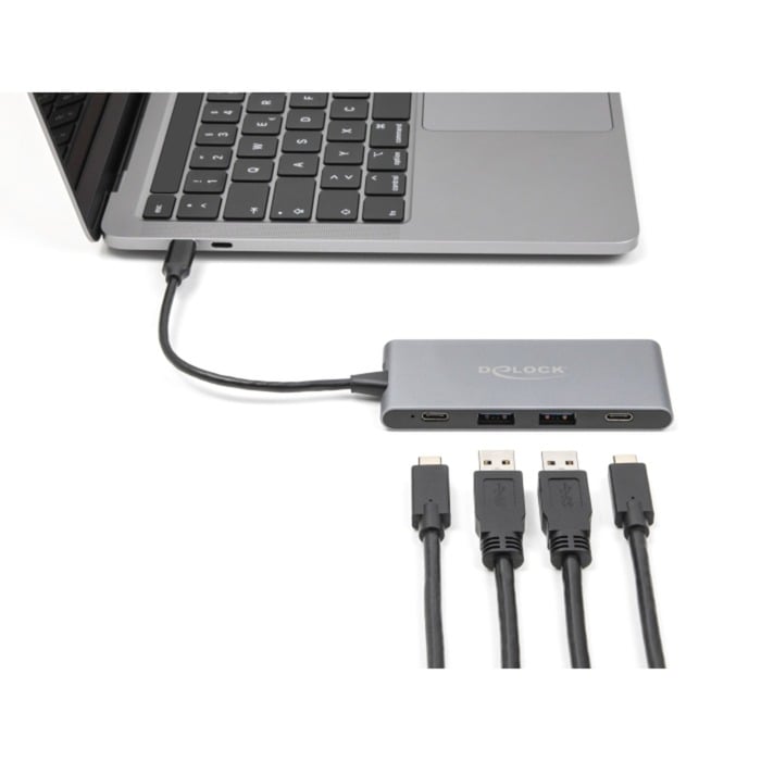 DeLOCK 4 Port USB Type-C™ Hub mit 2 x USB Typ-A und 2 x USB Type-C™ 10 Gbps, USB-Hub grau