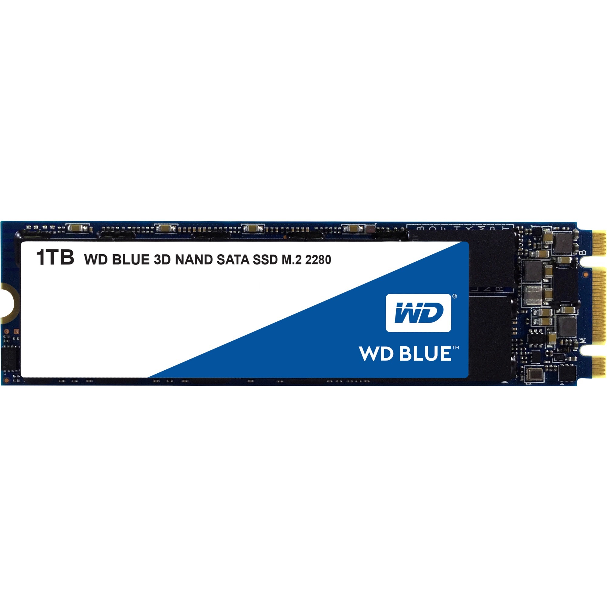 Image of Alternate - Blue 1 TB, SSD online einkaufen bei Alternate