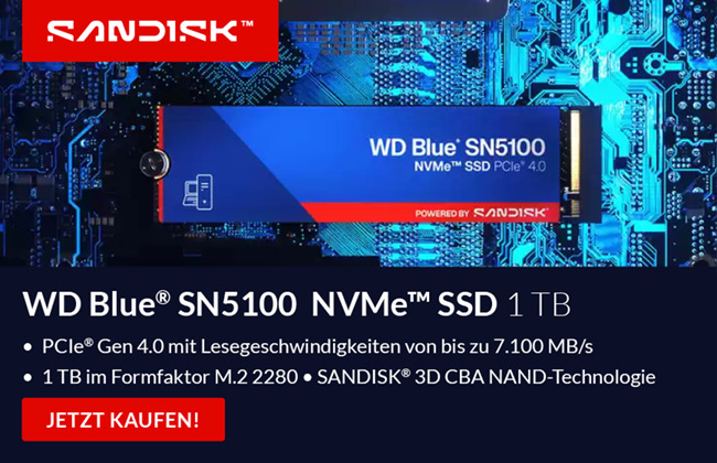 WD Blue SN5100 1 TB